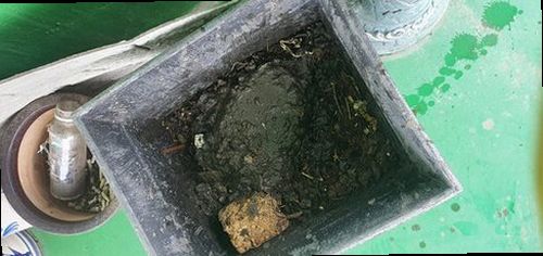 천안시 동남구 청당동 하수구막힘 배수구 주변의 잔여물과 물 고임 상태를 확인하는 현장 점검