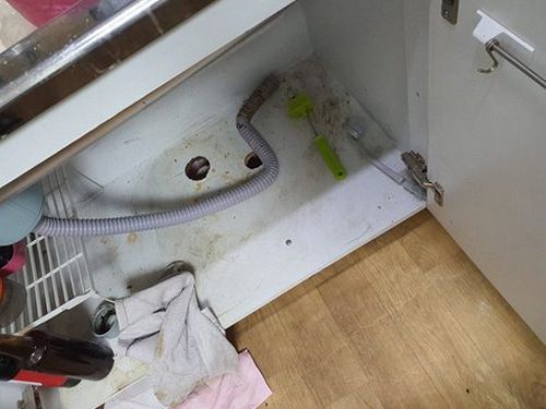 천안시 동남구 하수구막힘 신부동 하수구막힘 정화조 넘침 직접 살펴보니 달랐던 원인